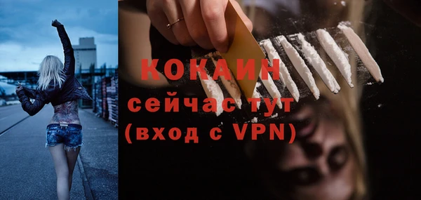 альфа пвп Медвежьегорск