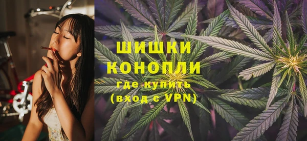 альфа пвп Медвежьегорск