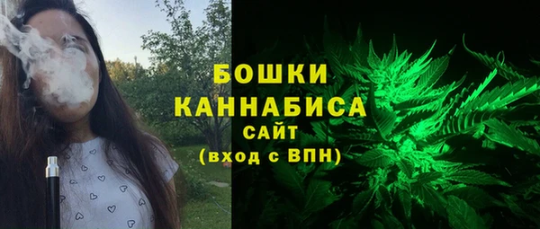 альфа пвп Медвежьегорск